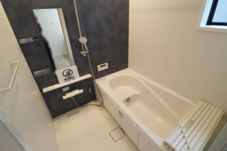 ���� 1�؂̍L���̗����̗l�q