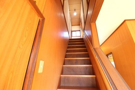 ���̑����� -