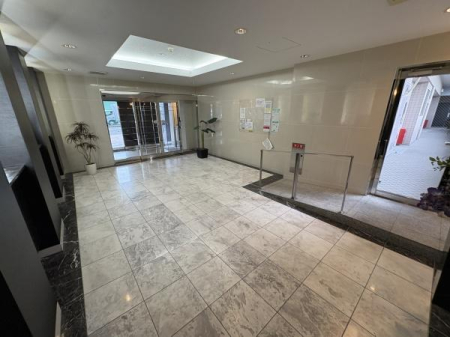 ���r�[ ���r�[�̗l�q