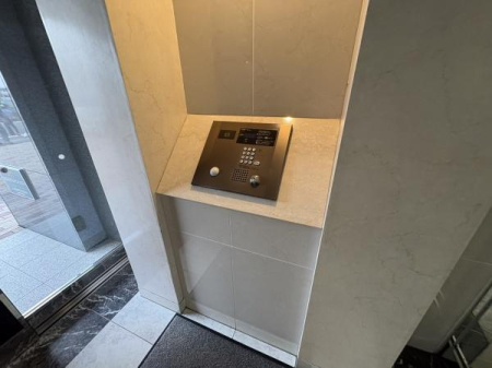 �G���g�����X �G���g�����X�̗l�q