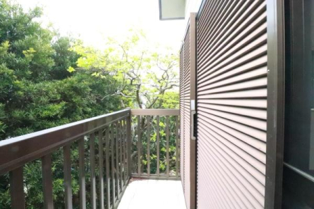 �o���R�j�[ �o���R�j�[�̗l�q