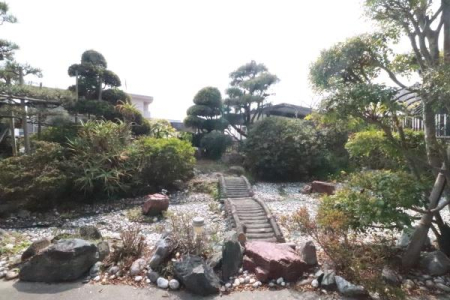 �� ��̗l�q