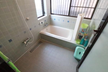 ���� �����̗l�q