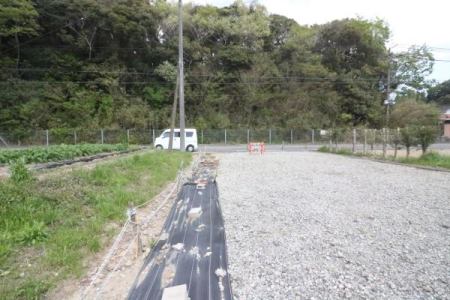 ���̑����n -