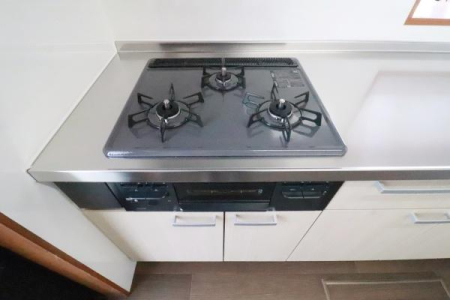 �L�b�`�� �K�X�����W�̗l�q