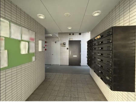 �G���g�����X �G���g�����X�̗l�q