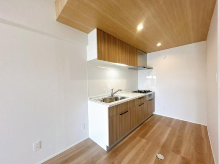 �L�b�`�� �L�b�`���̗l�q