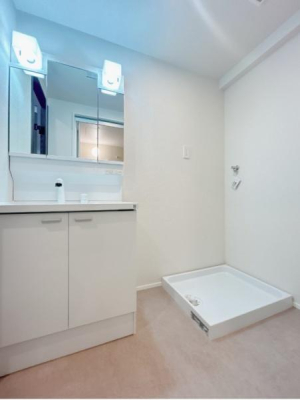 ���ʑ�E���ʏ� �V�i�̐��ʑ�Ɍ������܂�