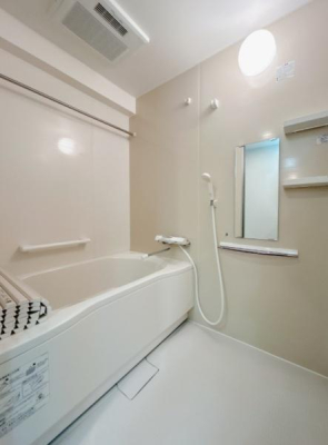 ���� �V�i�̗����̗l�q