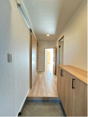 ���̑����� ���ւ��猩���L���̗l�q