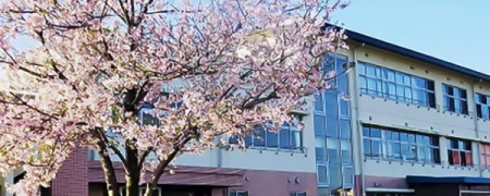 ���ӊ� �y���w�Z�z���c�s���Z�����w�Z�F1220�u