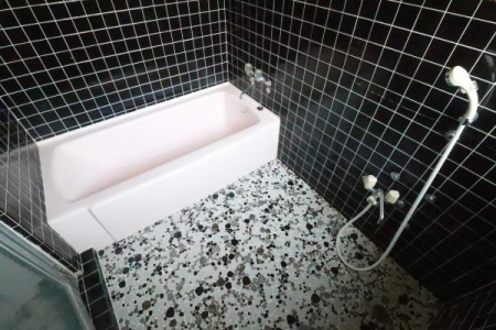 ���� �p�X���[���̗l�q