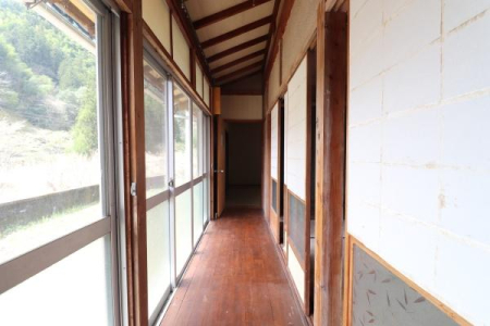 ���̑����� -