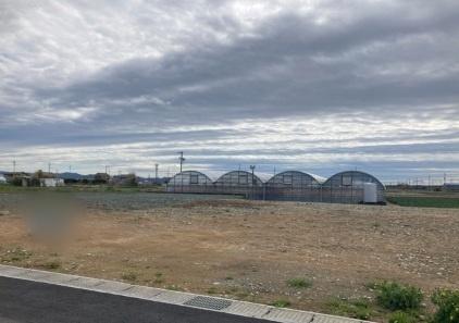 ���̑����n ���z�O�̌��n�̗l�q